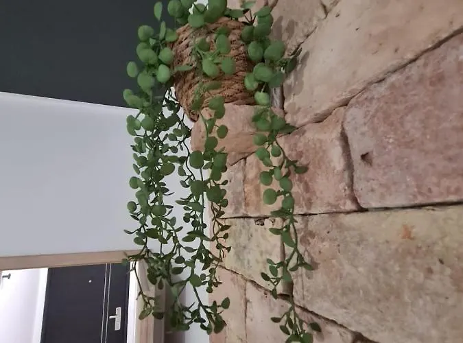 Premium Class Apartmant - Free Parking